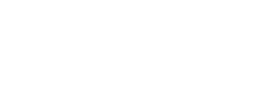 light logo